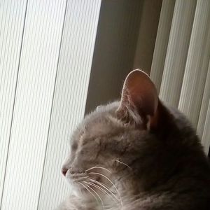 Meet your Posher, Patricia